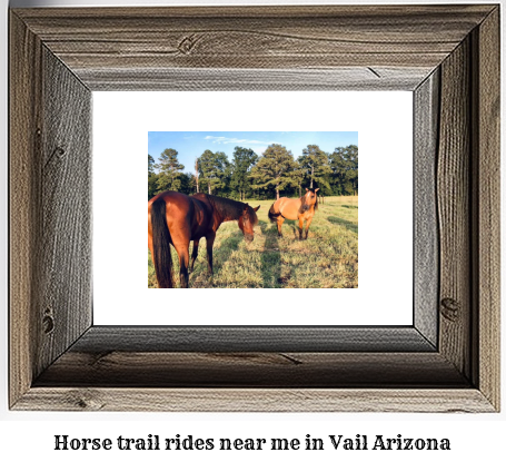 horse trail rides near me in Vail, Arizona